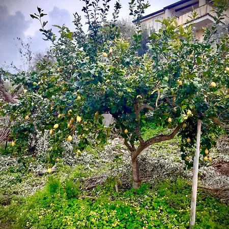 Residenza Perla Degli Dei Daire *