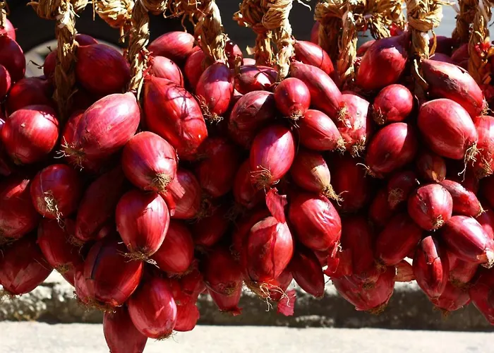 Residenza Perla Degli Dei