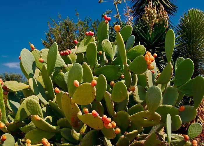 Apartamento Residenza Perla Degli Dei